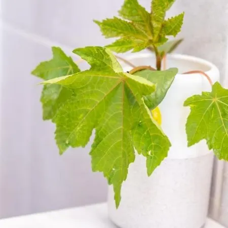 Guestready - Tranquil Retreat In Nature's Embrace *