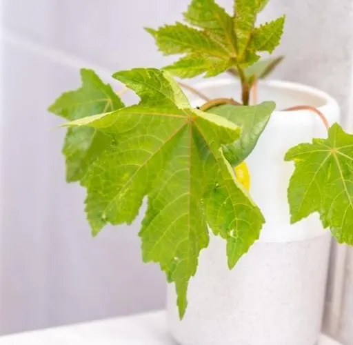 Guestready - Tranquil Retreat In Nature's Embrace *